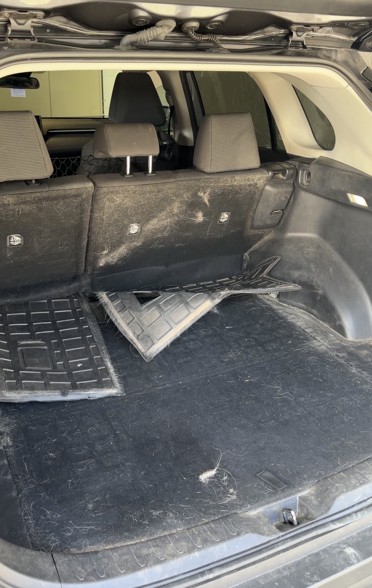 Carpet covered in pet hair before mobile interior detailing
