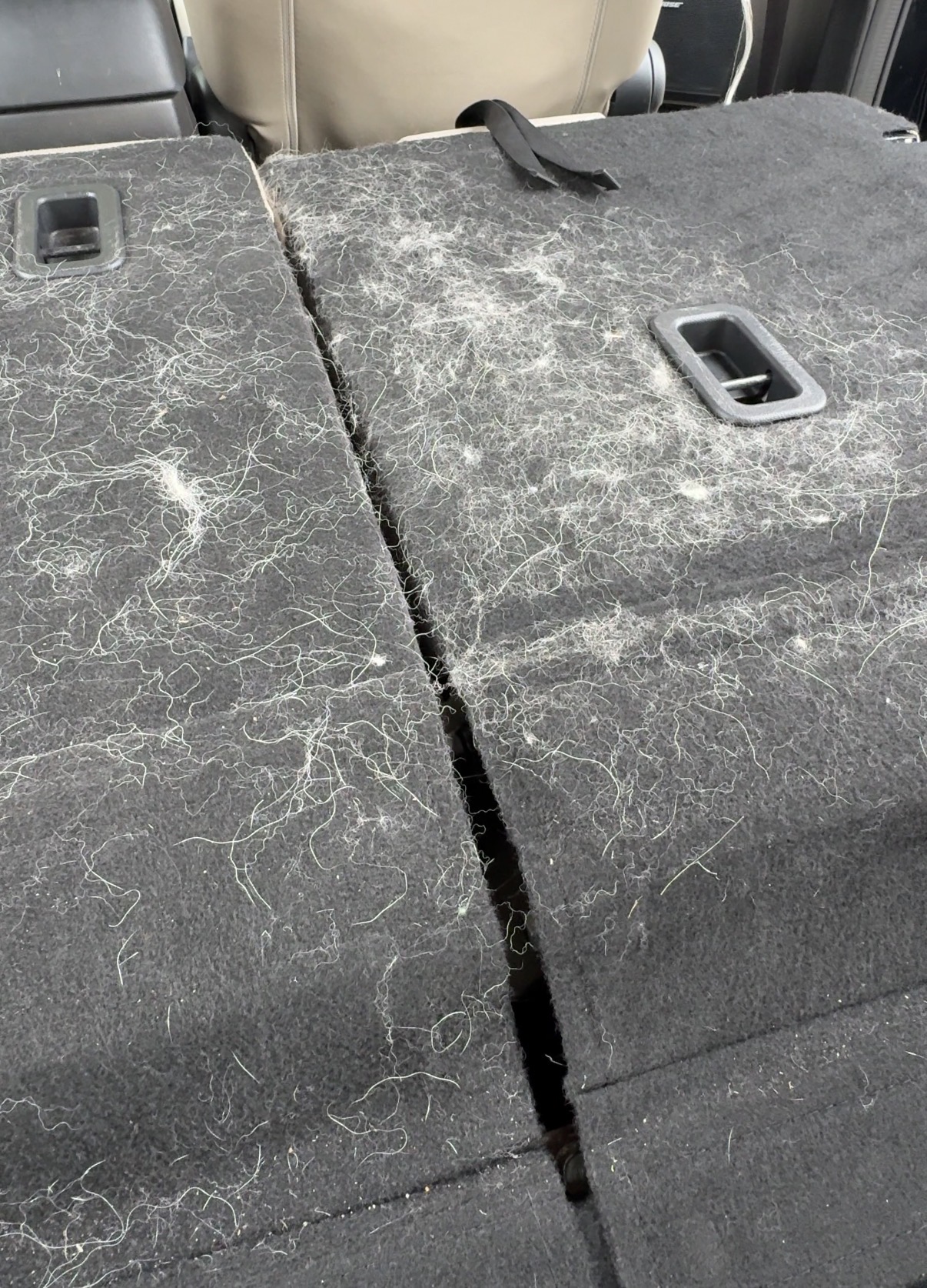 Pet hair removal process for car interior in San Francisco