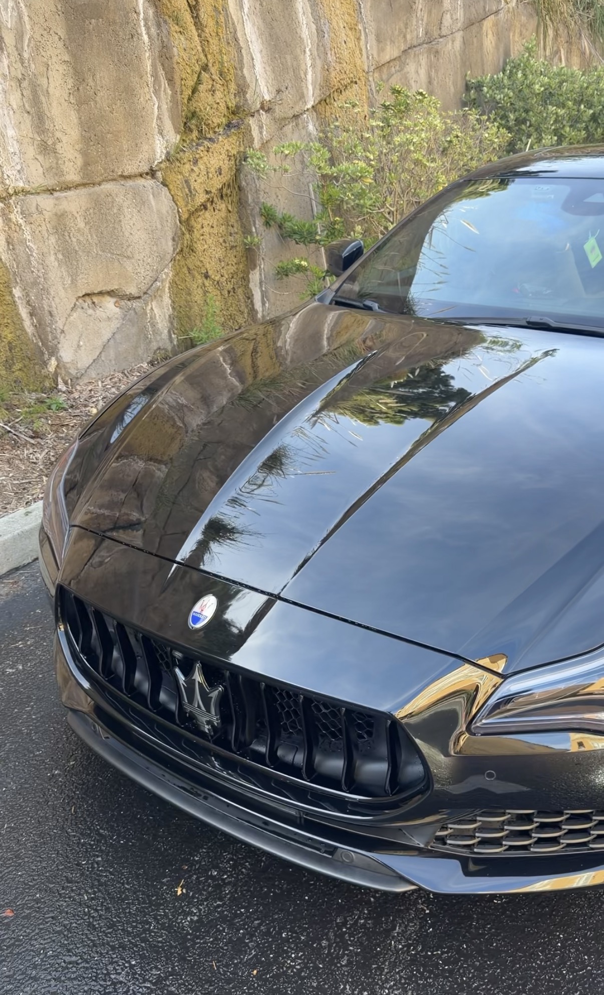 Maserati Quattroporte exterior detail result by SF City Wash in Daly City