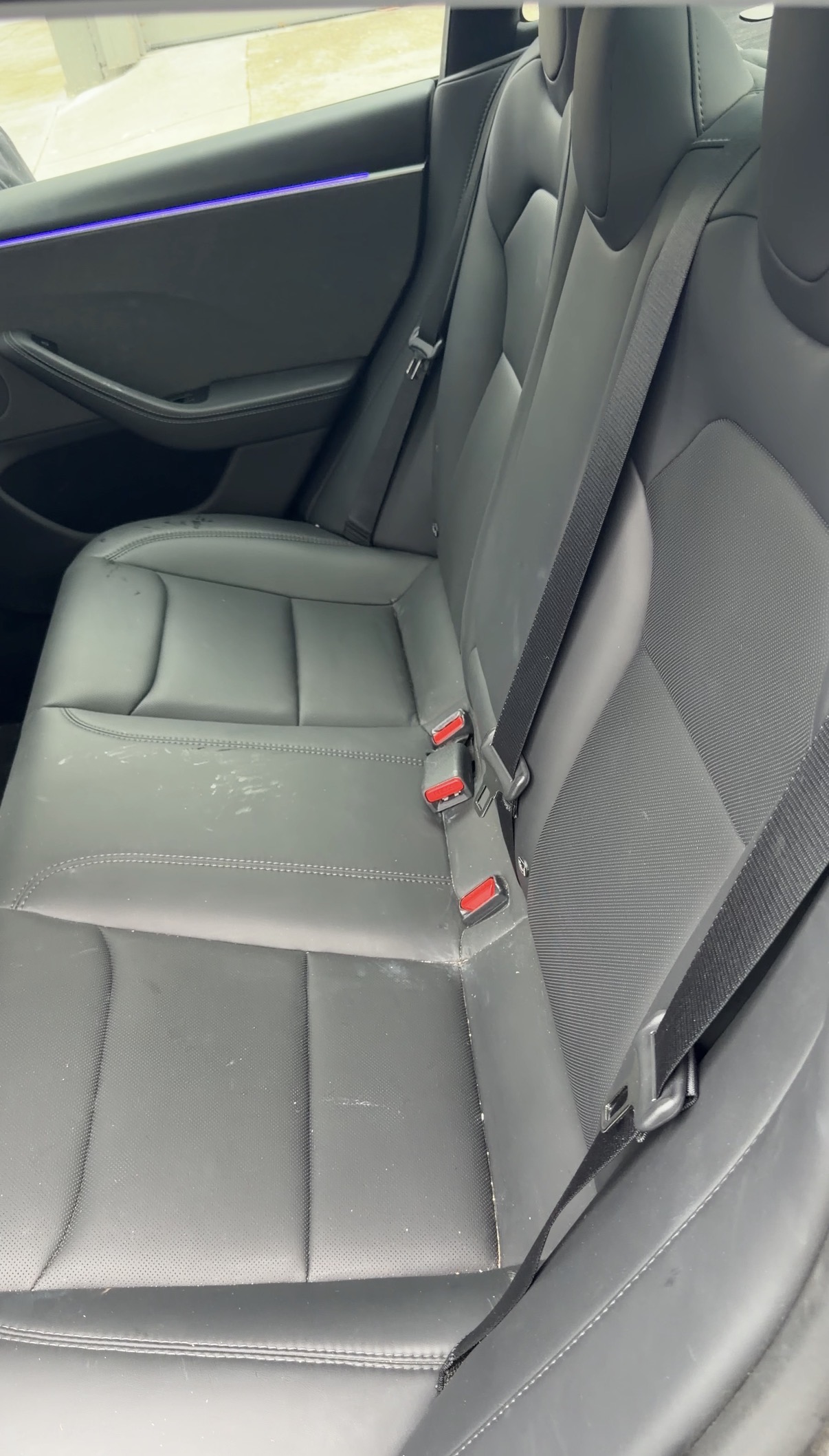 Tesla Model 3 rear seat bench after detailing, clean leather