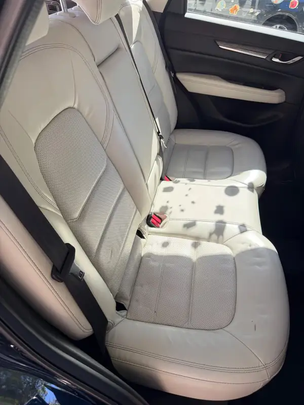 Clean rear seat of a dark blue Mazda CX-5 after cleaning, cream leather bases free of the earlier stains