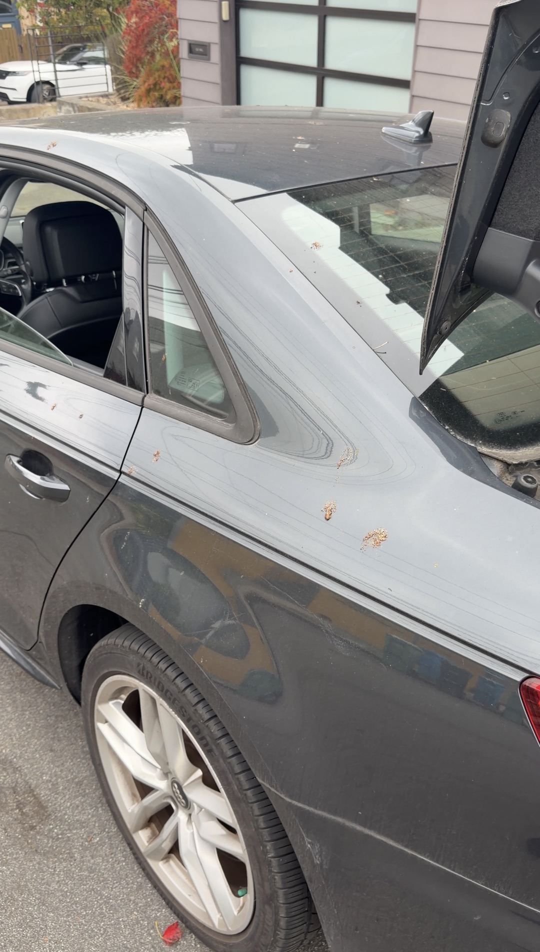 Leaf bits on the rear door and C-pillar of a grey Audi A4 with its trunk lid open