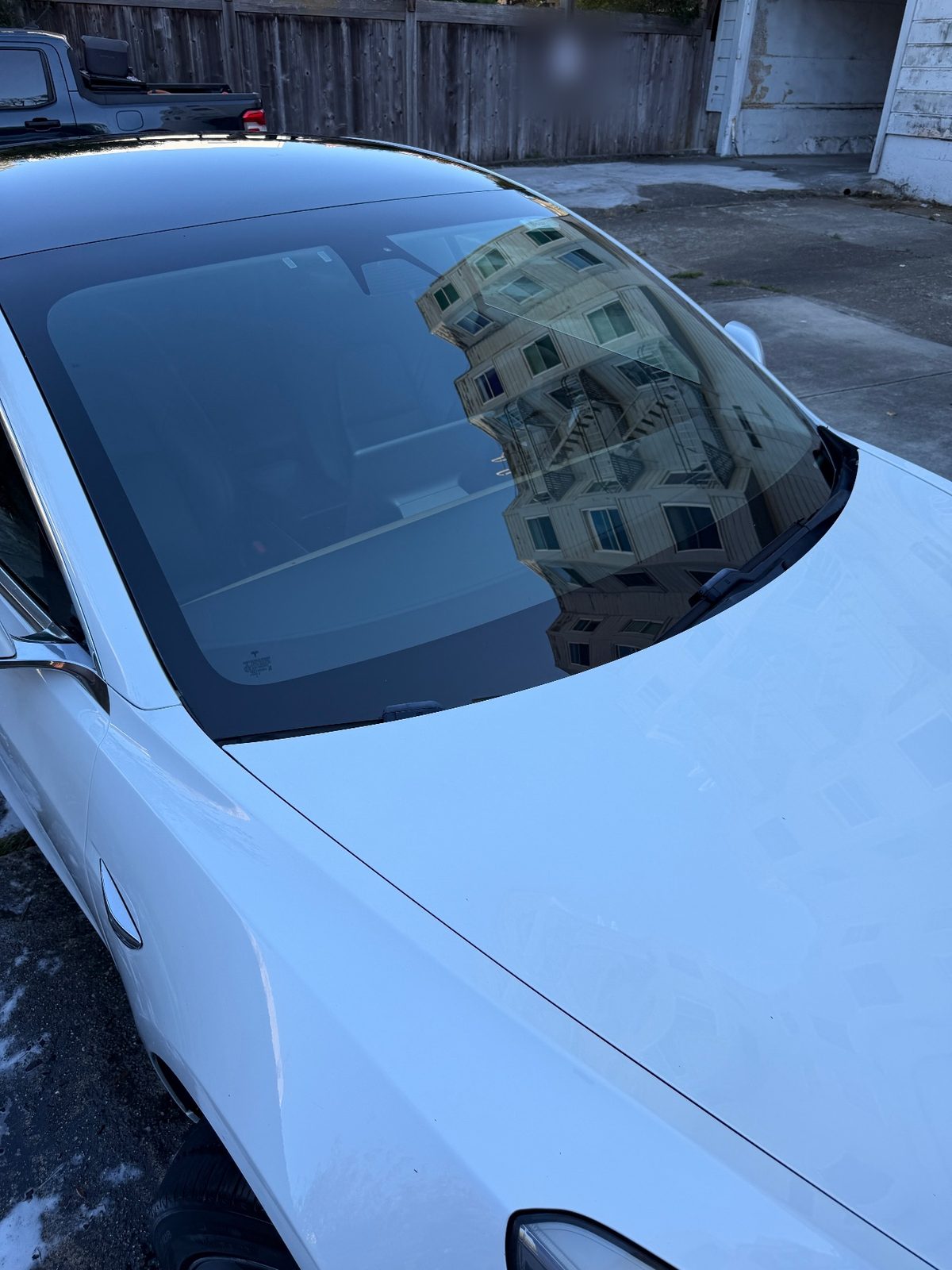 Glossy hood and windscreen of a white Tesla Model 3 after detailing