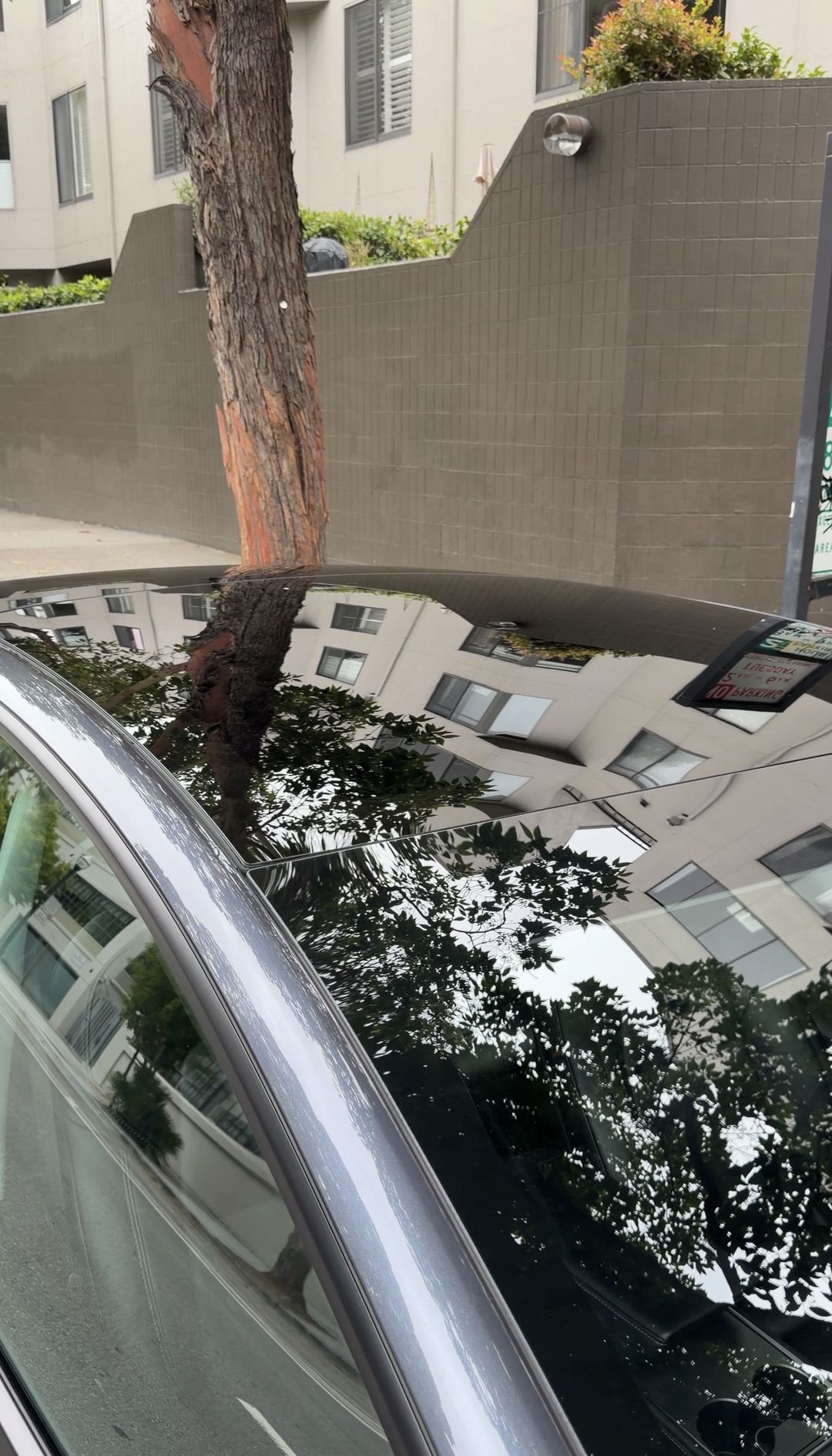 Tesla Model 3 glass roof after cleaning, clear reflection of trees and a building