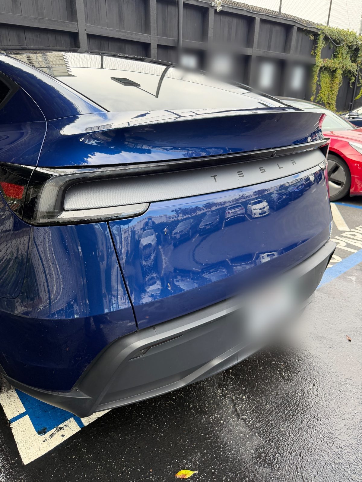 Clean glossy rear of a deep blue Tesla Model Y after detailing