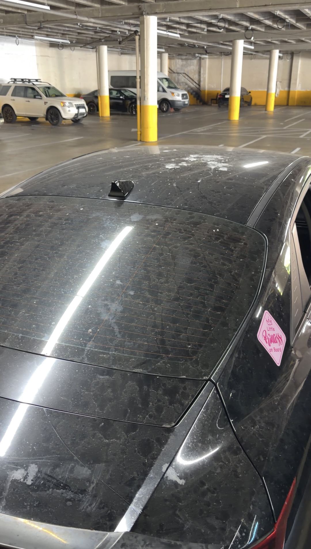 Spotted rear glass and trunk of a black Hyundai Elantra with bird droppings on the roof
