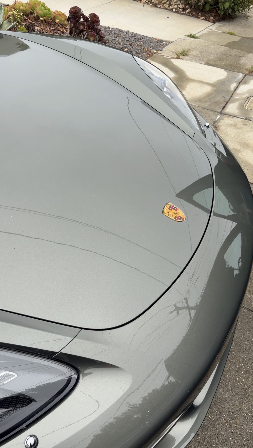 Clean, glossy front lid and Porsche crest of a green 718 Cayman S after a mobile detail.