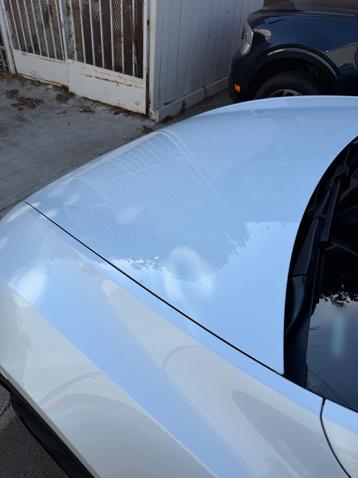 Clean glossy hood and fender of a white Tesla Model Y after detailing