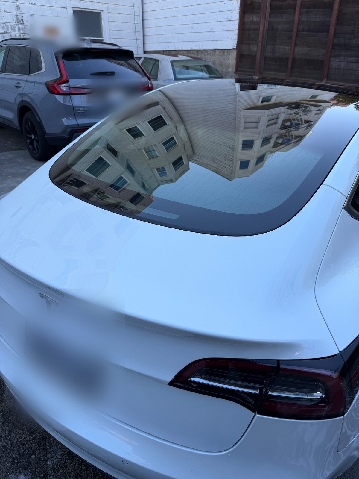 Rear of a white Tesla Model 3 after detailing, clean glossy boot lid and rear window