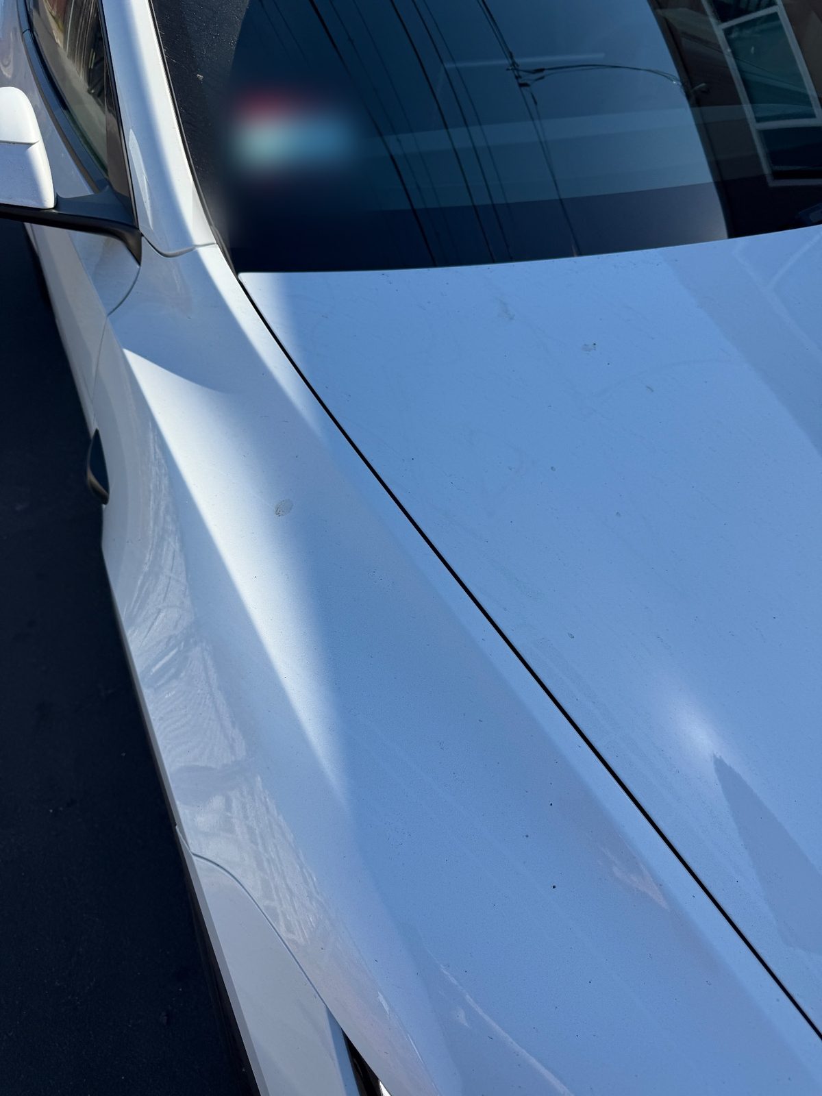 Hood and fender of a white Tesla Model Y before washing, dusty finish and dried spots