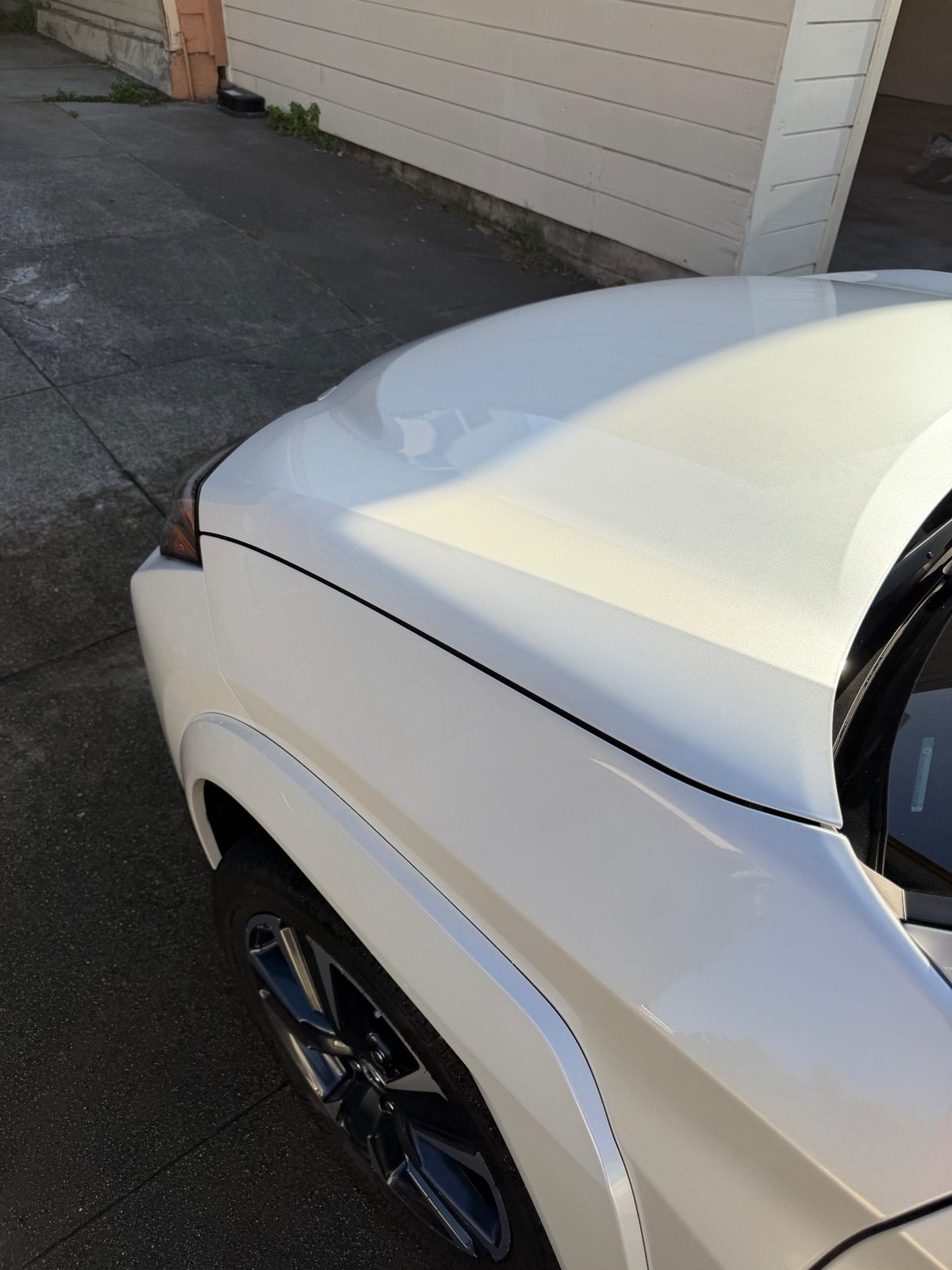 Glossy white hood and front fender of a Lexus UX after detailing