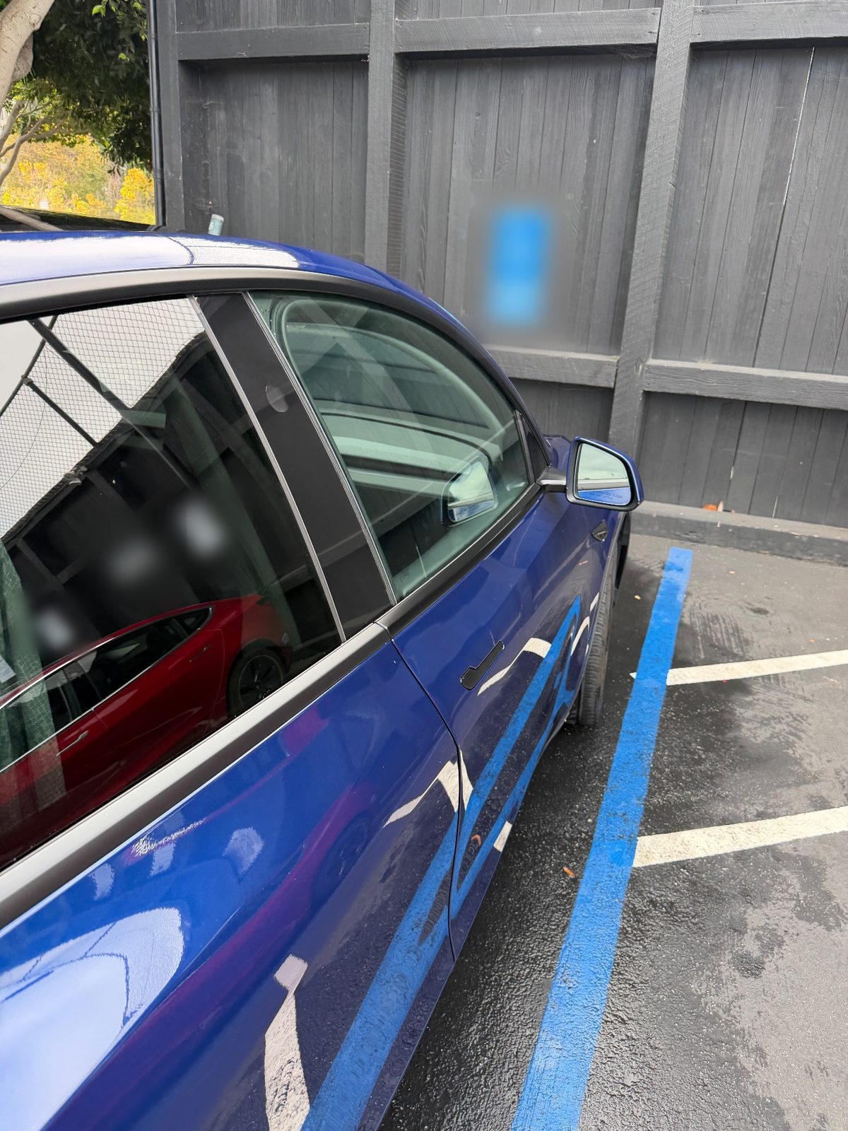 Glossy passenger-side door and mirror of a deep blue Tesla Model Y after detailing