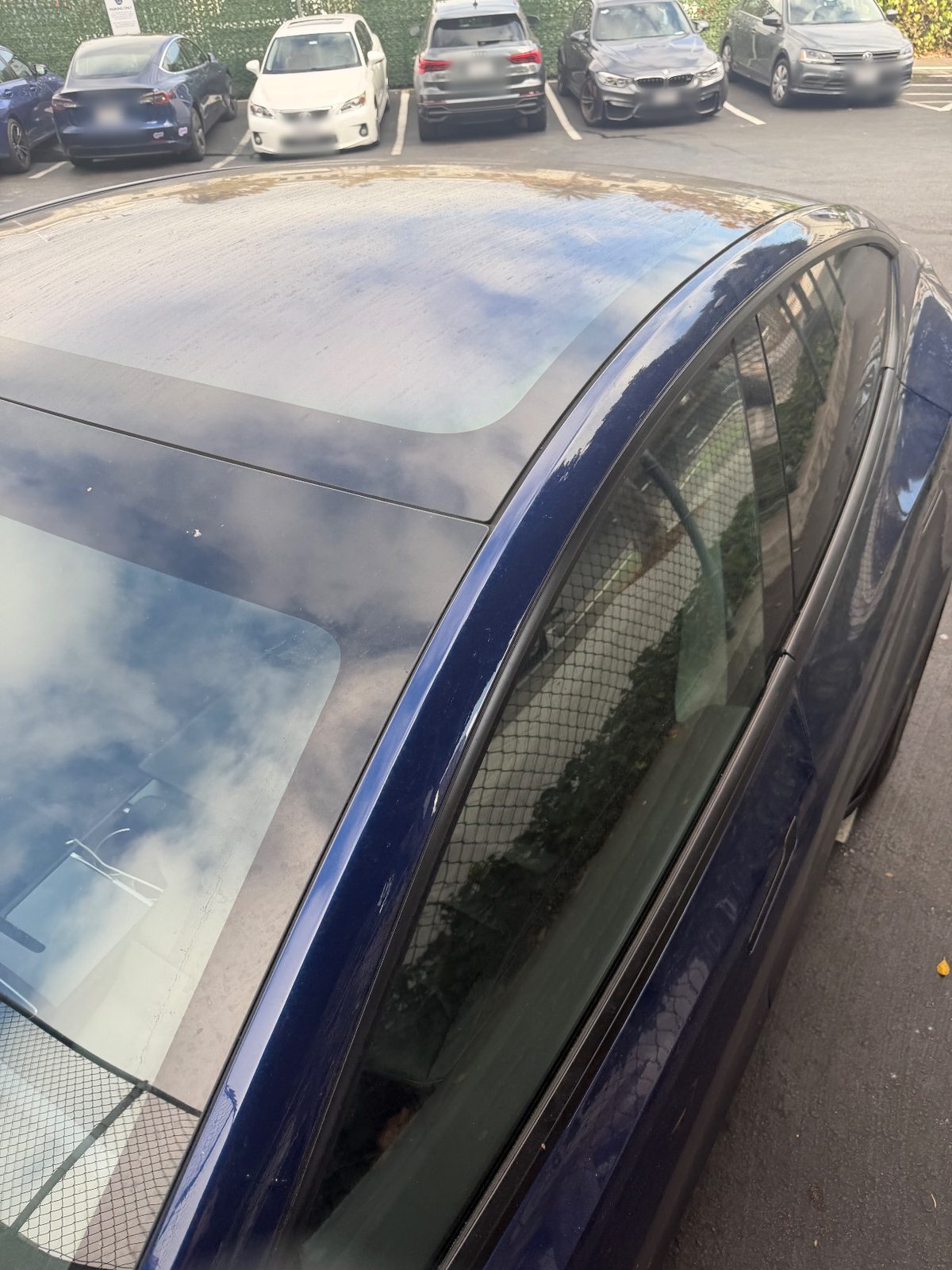 Dusty glass roof of a blue Tesla Model Y before detailing