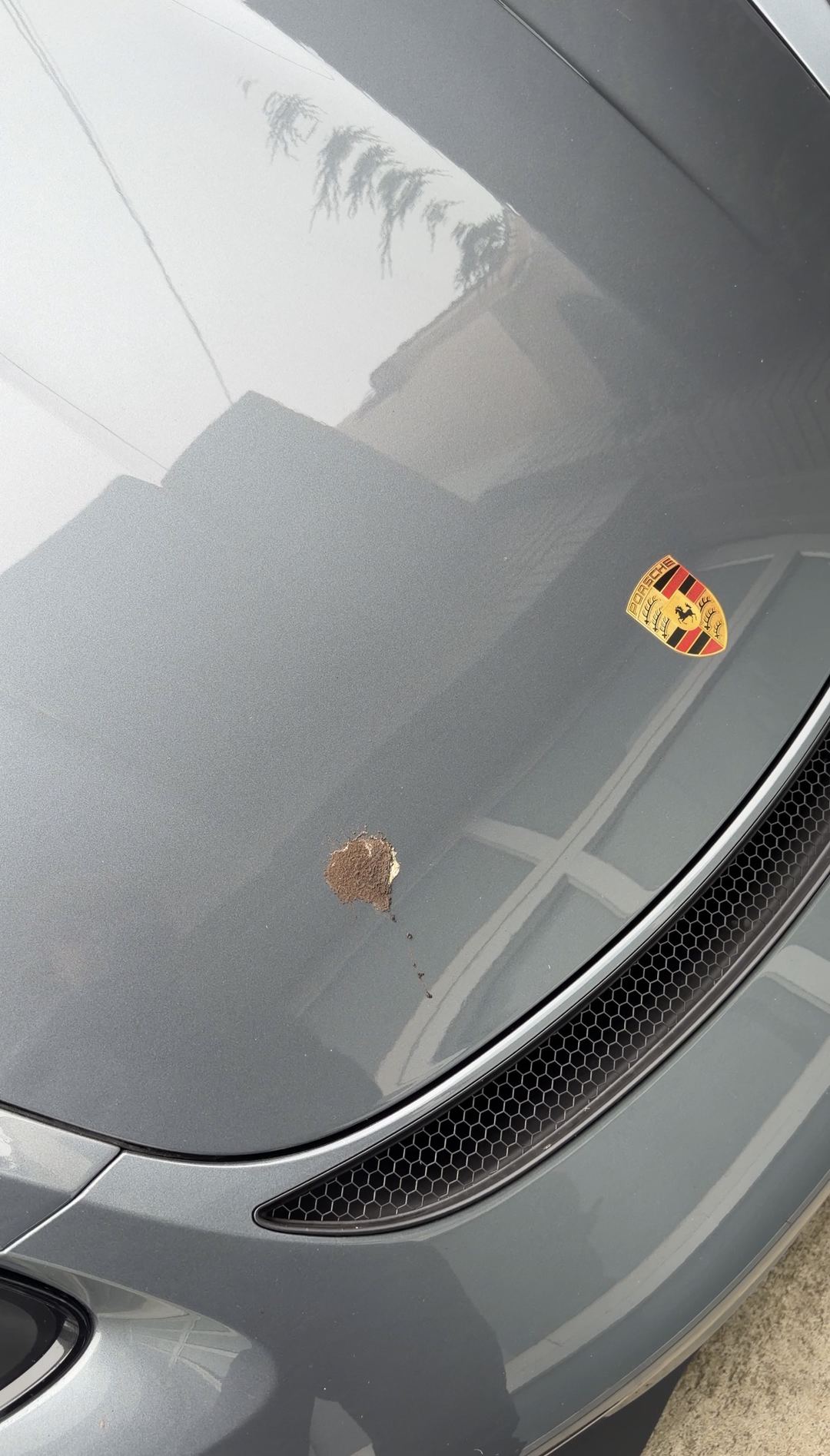 Dried bird dropping on the bonnet of a grey Porsche 718 Spyder RS, beside the Porsche crest, before cleaning.