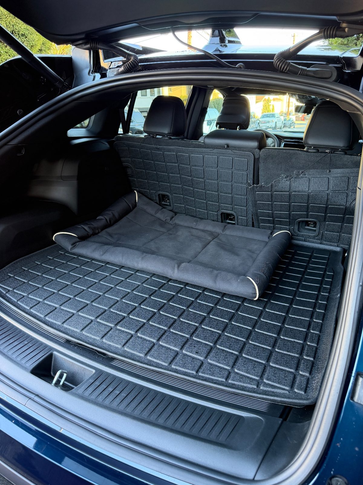 Clean cargo area of a Jeep Wagoneer S with a dog bed after detailing