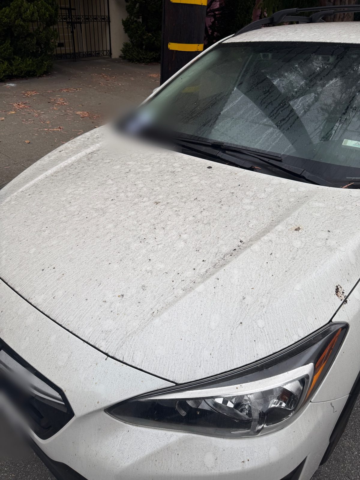 Dusty hood and headlight of a white Subaru Crosstrek before cleaning