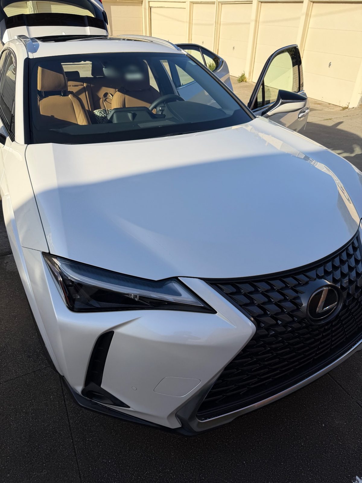 Front three-quarter and hood of a white Lexus UX 250h in the Marina, San Francisco, after detailing