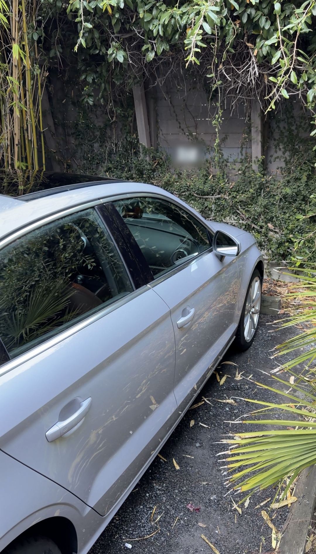 Side doors of a silver Audi A3 sedan parked beside an ivy-covered fence