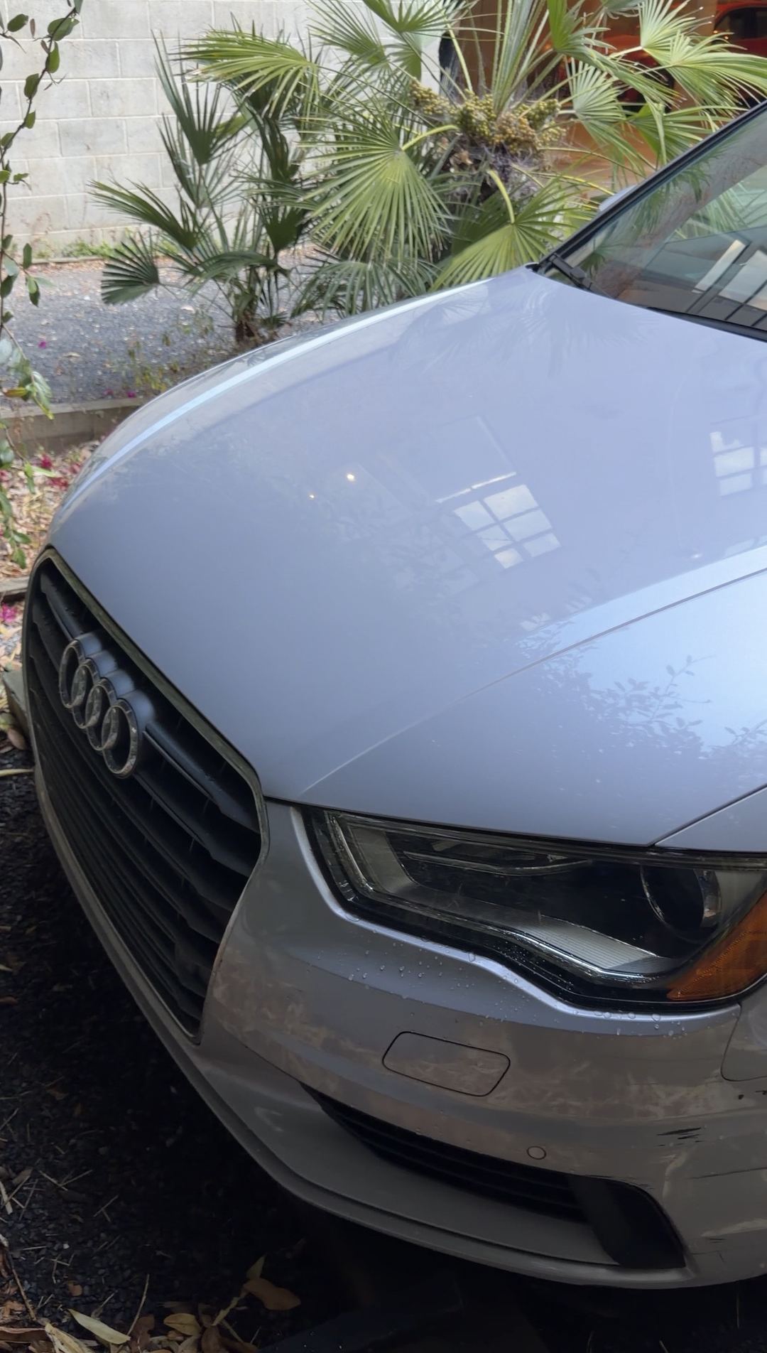 Front grille and headlight of a silver Audi A3 with water beads on the bumper