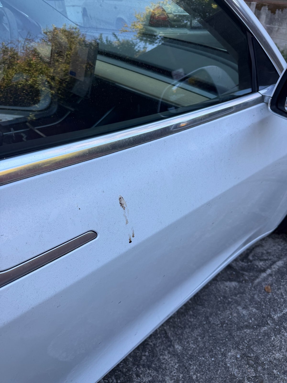 White Tesla Model 3 passenger door before detailing, with a dark drip mark and dusty paint