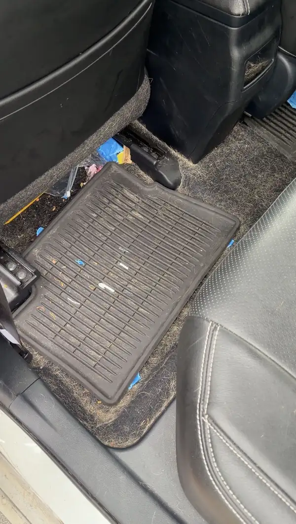 Rear driver-side footwell of a white Toyota Corolla iM before cleaning, with a rubber floor liner sitting on carpet thickly matted with tan pet hair.