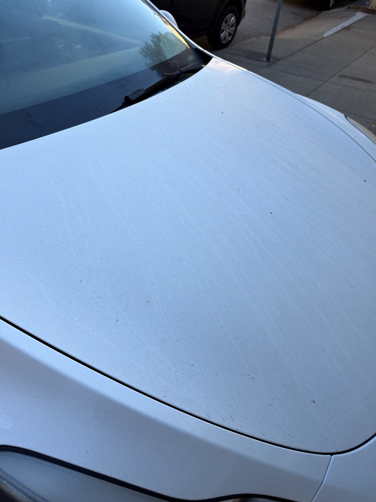 Dusty bonnet of a white Tesla Model Y before washing, with dried water streaks and grit
