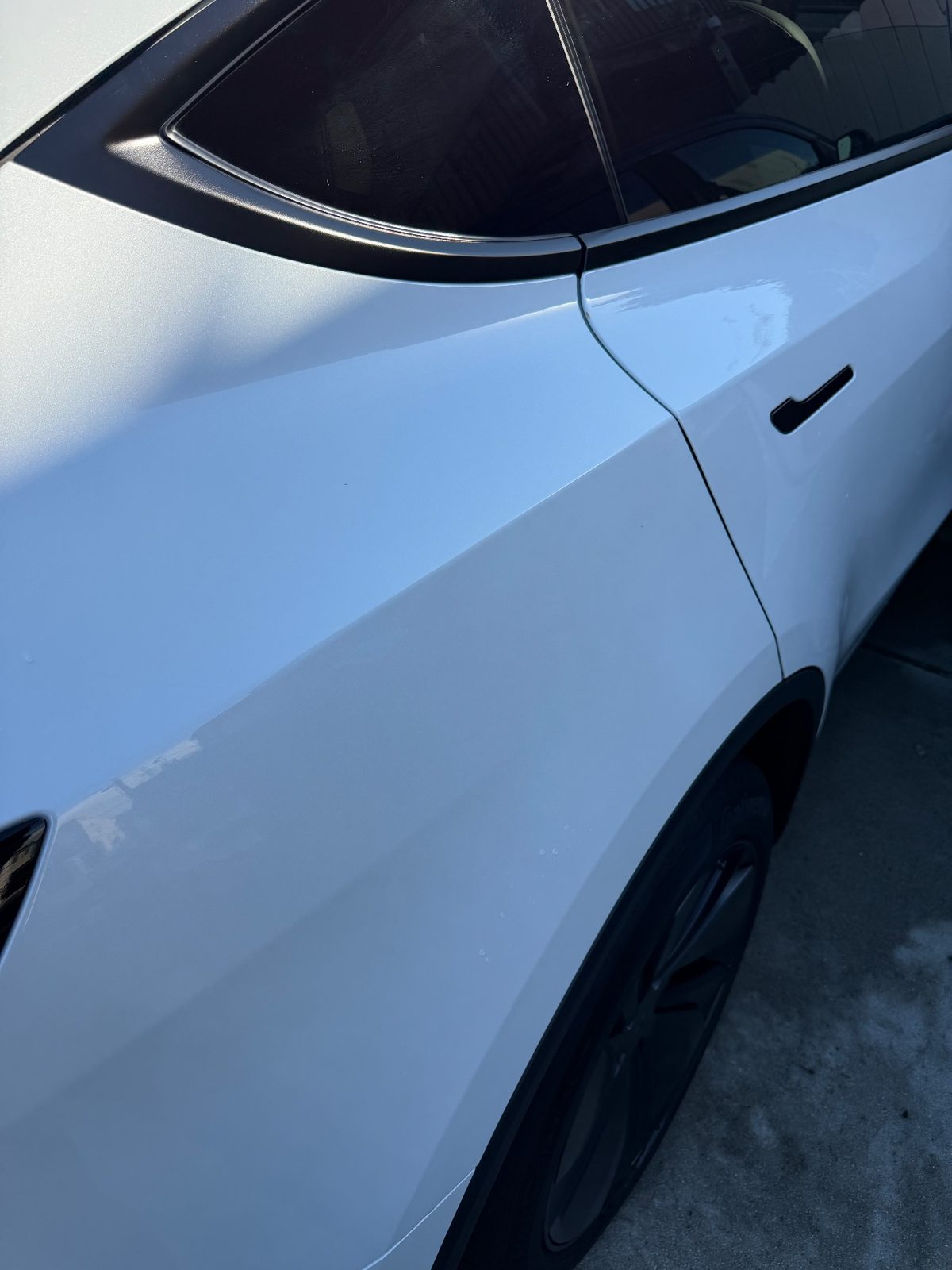 Clean glossy rear quarter of a white Tesla Model Y after detailing