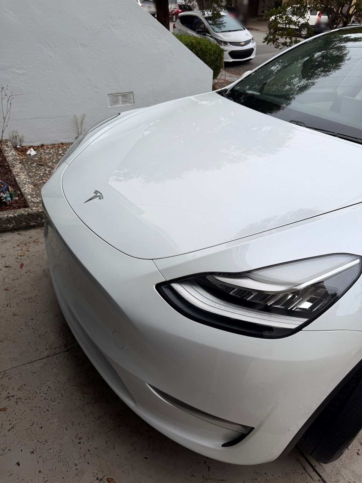 Front corner of a white Tesla Model Y after detailing, with a clean hood and headlight
