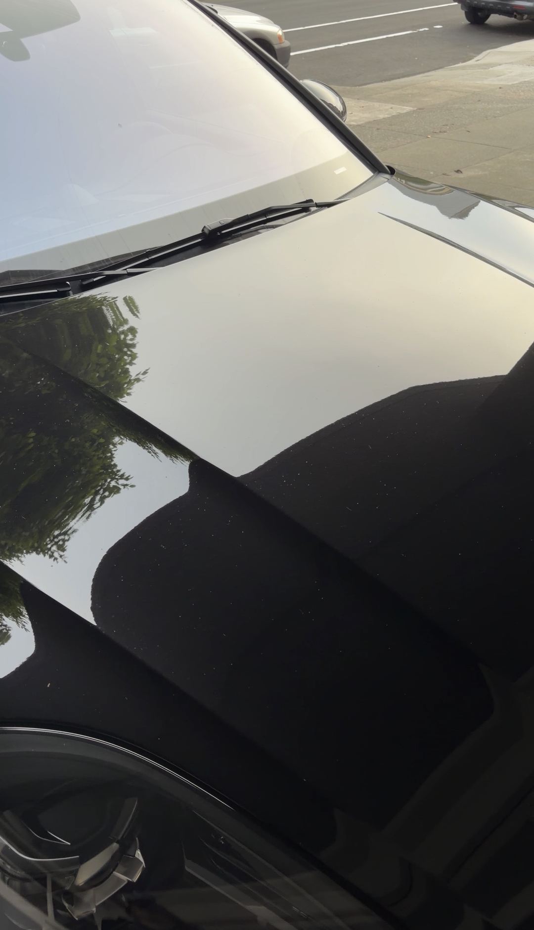 Dust and debris on the hood of a black Porsche Macan GTS before a San Francisco mobile detail.