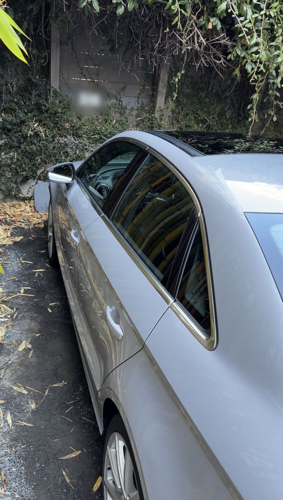 Side windows and roofline of a silver Audi A3 sedan with bamboo reflected in the glass
