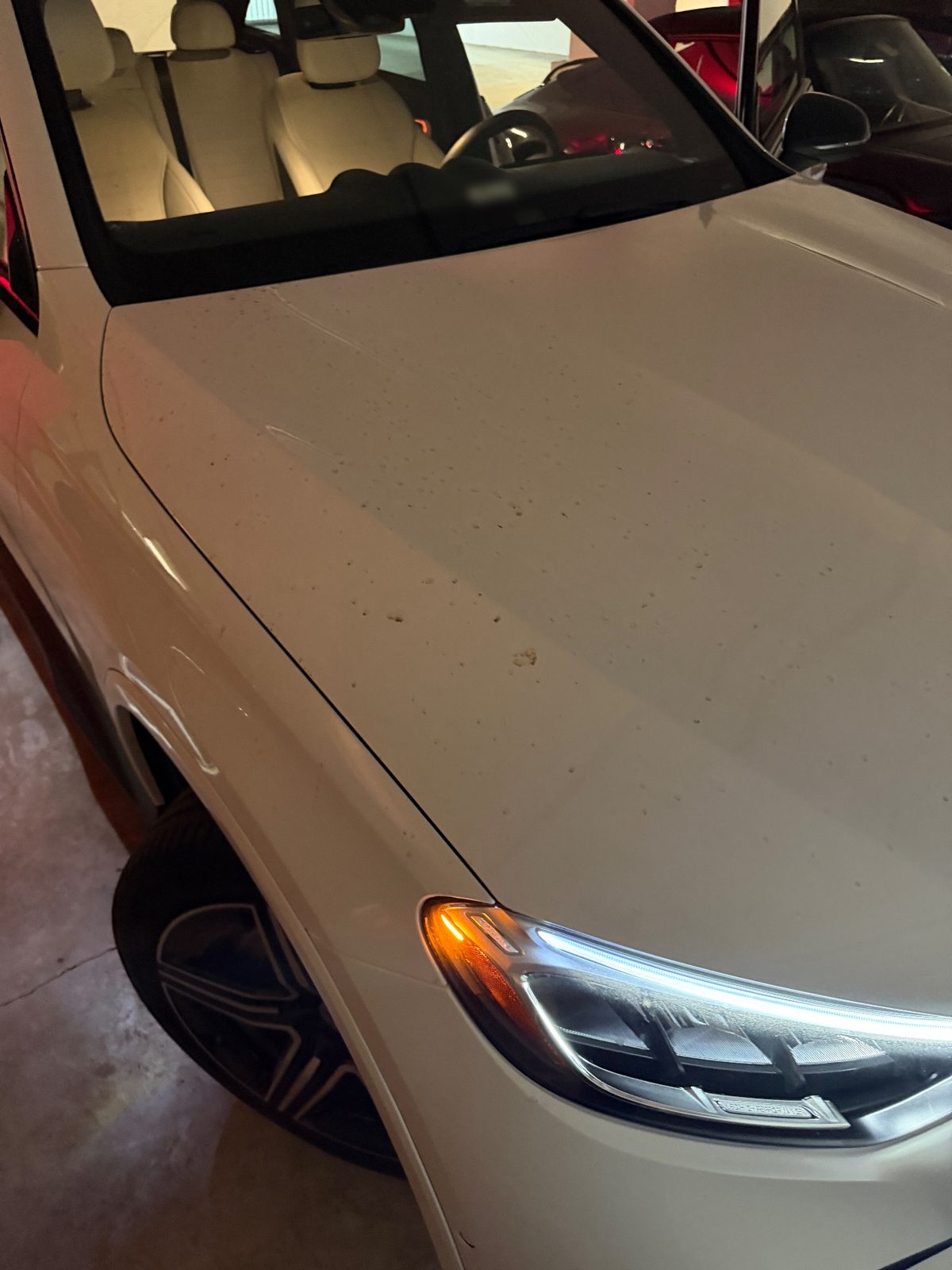 Hood of a white Mercedes GLC before washing, covered in brown spots and splatter