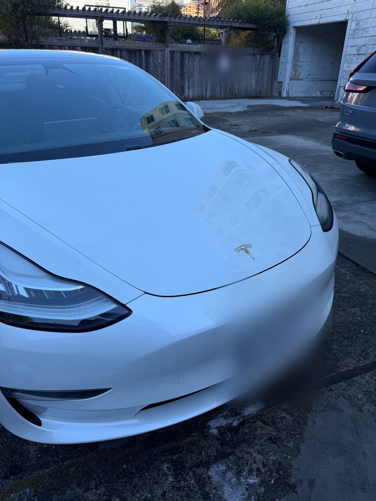 Front of a white Tesla Model 3 after detailing, with clean glossy paint