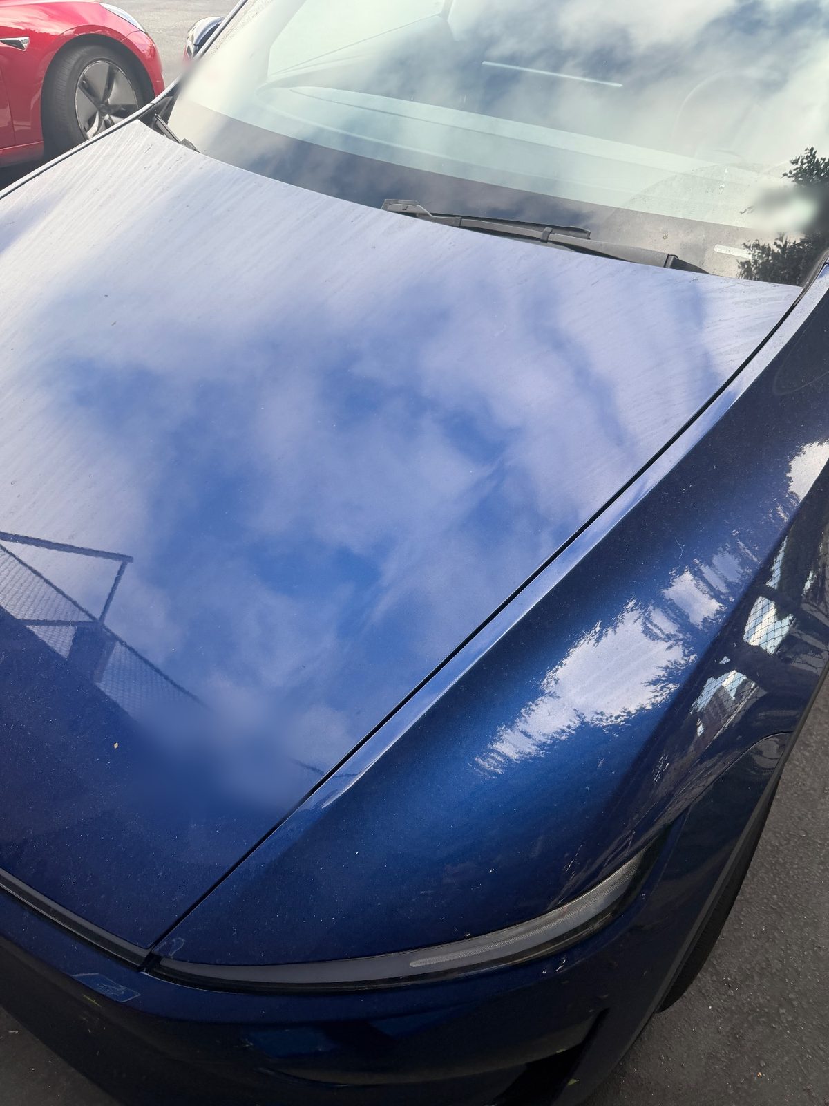Dusty hood and windshield of a blue Tesla Model Y before detailing