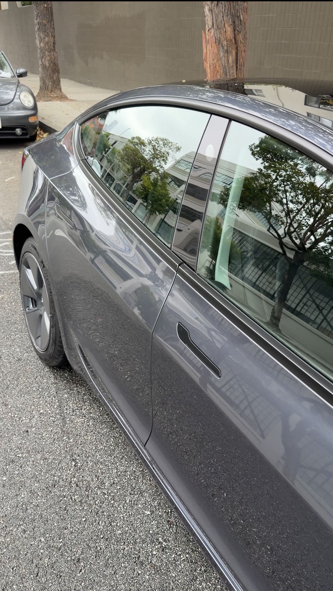 Grey Tesla Model 3 rear door and quarter panel after cleaning, reflections in the side glass