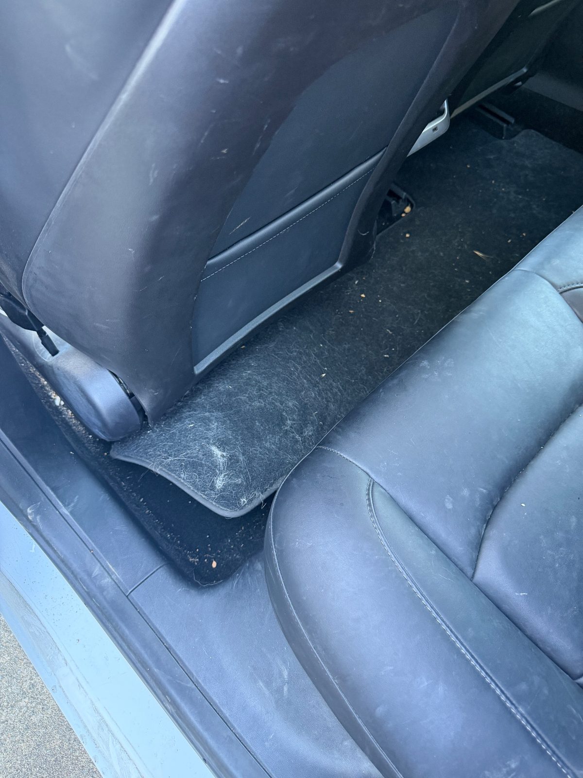Rear floor mat of a white Tesla Model 3 before detailing, covered in matted hair and debris