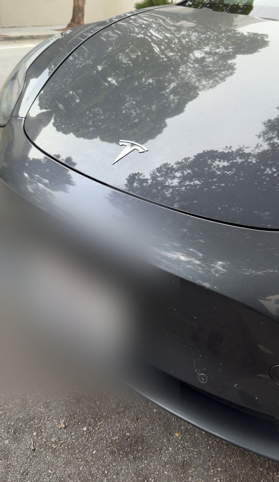 Close-up of a grey Tesla Model 3 hood and front bumper before washing, dust specks on the paint