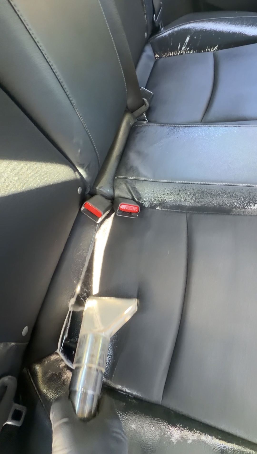 Seat extraction wand on the rear seat of a Honda Civic during cat urine removal