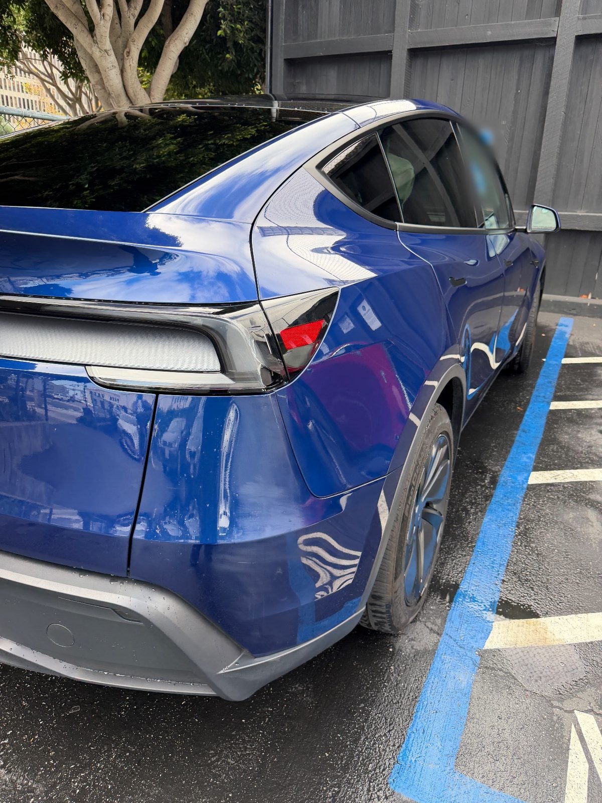 Rear three-quarter of a clean deep blue Tesla Model Y after detailing