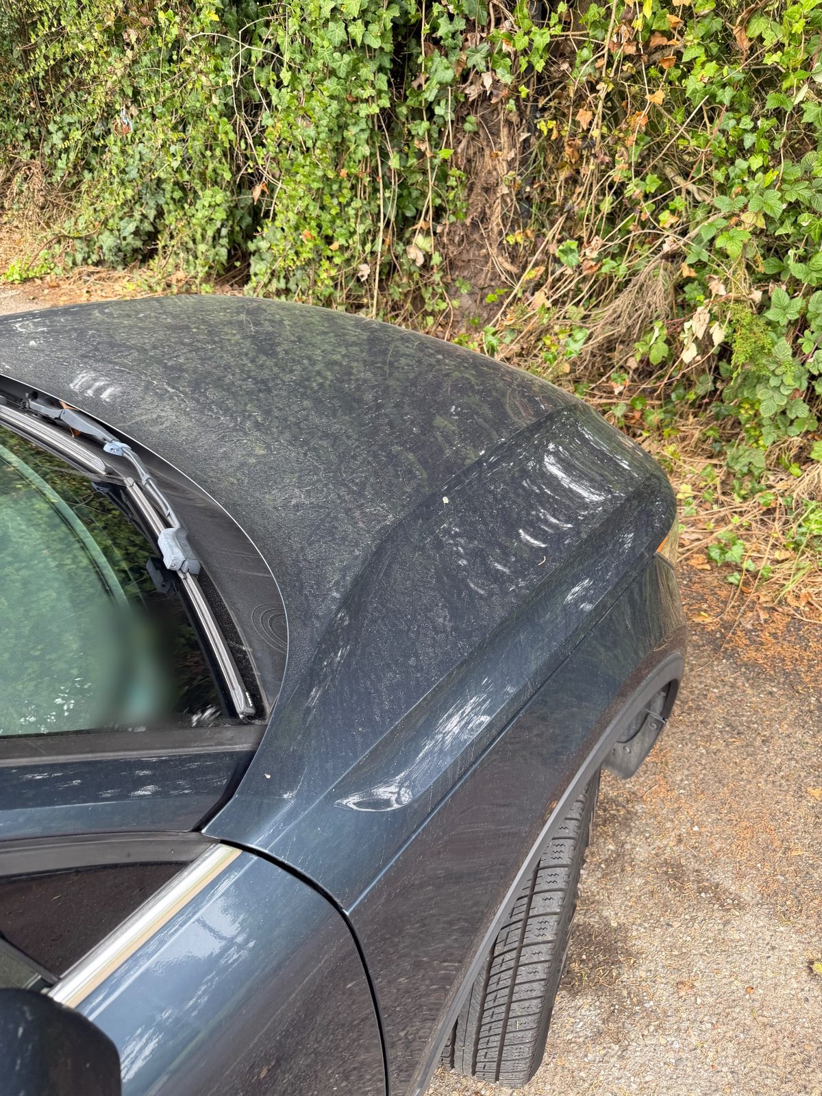 Hood and left fender of a Volvo XC40 under a dust film with visible white scuff marks along the crease