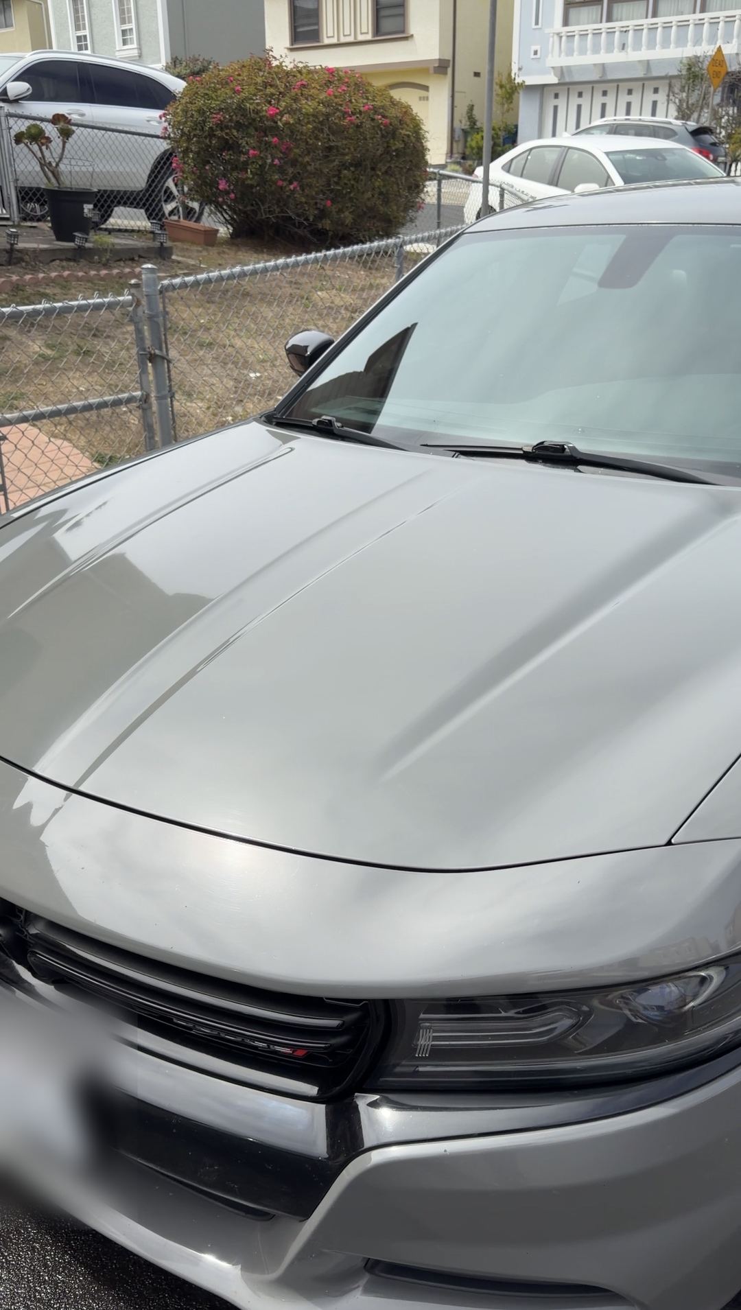 Clean grey Dodge Charger hood after an exterior detail, seen from the front corner