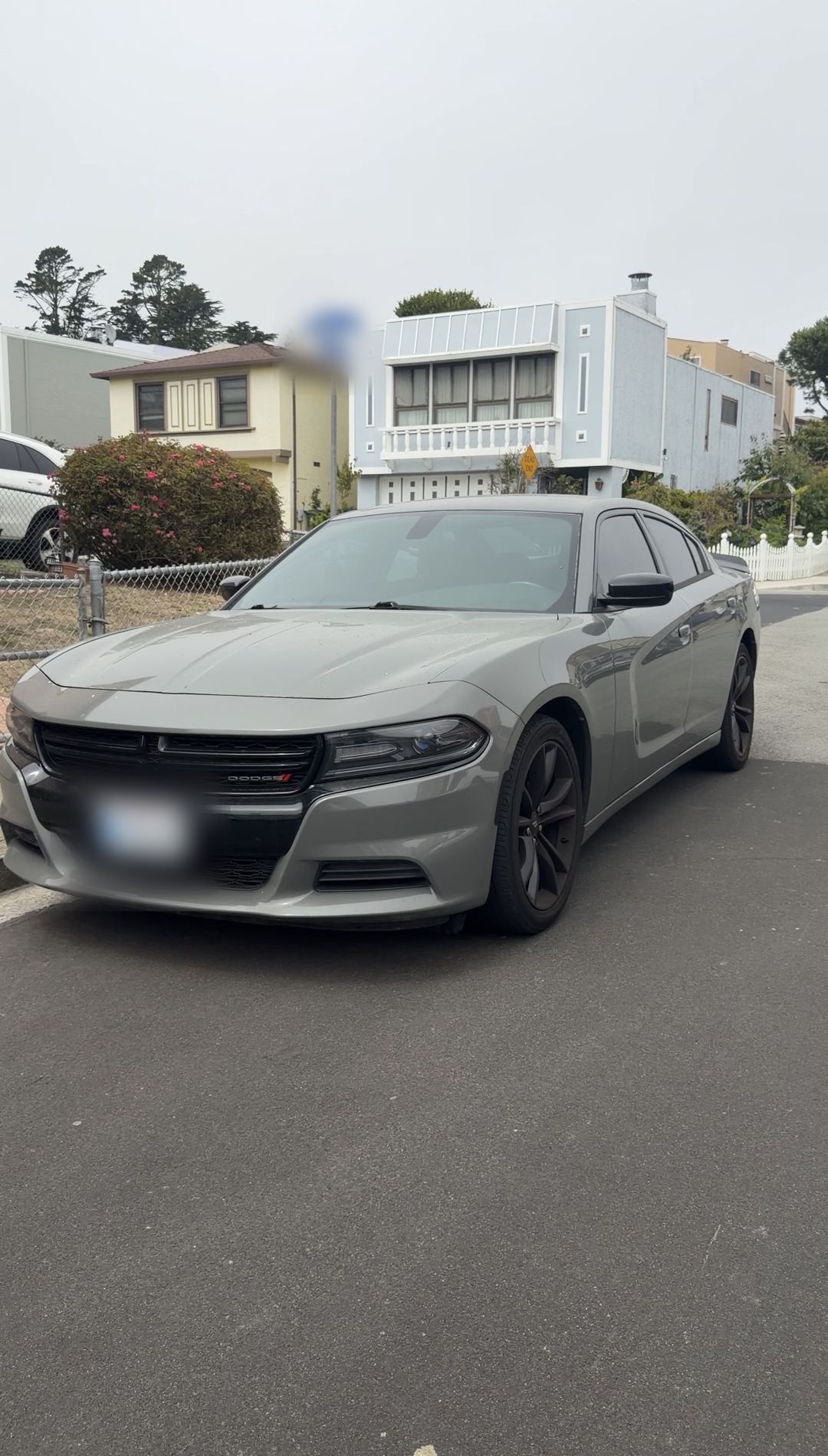 Grey Dodge Charger parked at the kerb before an exterior detail, front three-quarter view