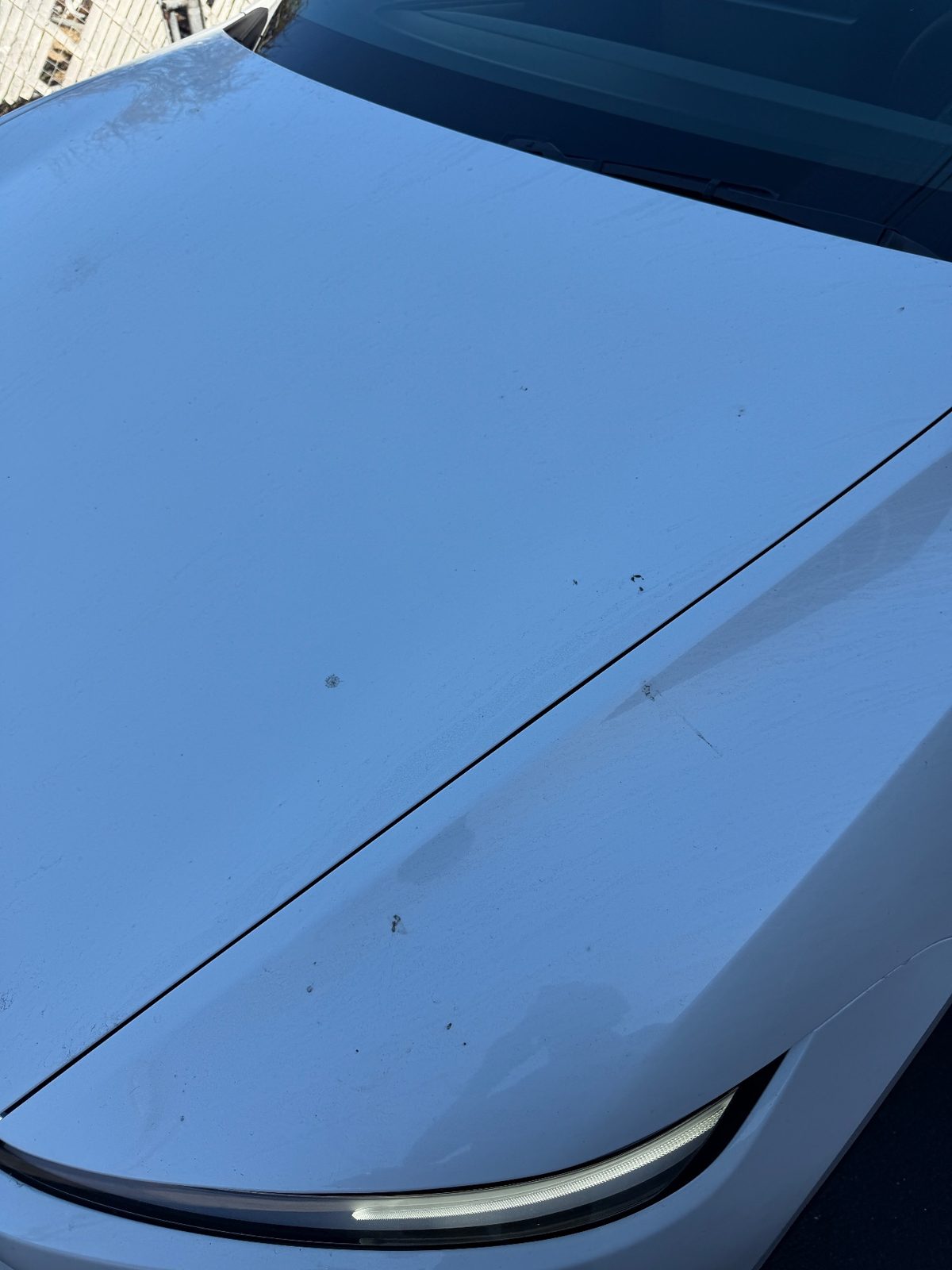 Hood of a white Tesla Model Y before washing, bug spots and dust film