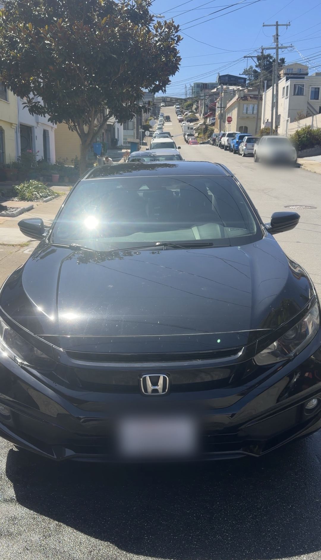 Freshly detailed black Honda Civic Sport on a sunny Glen Park street