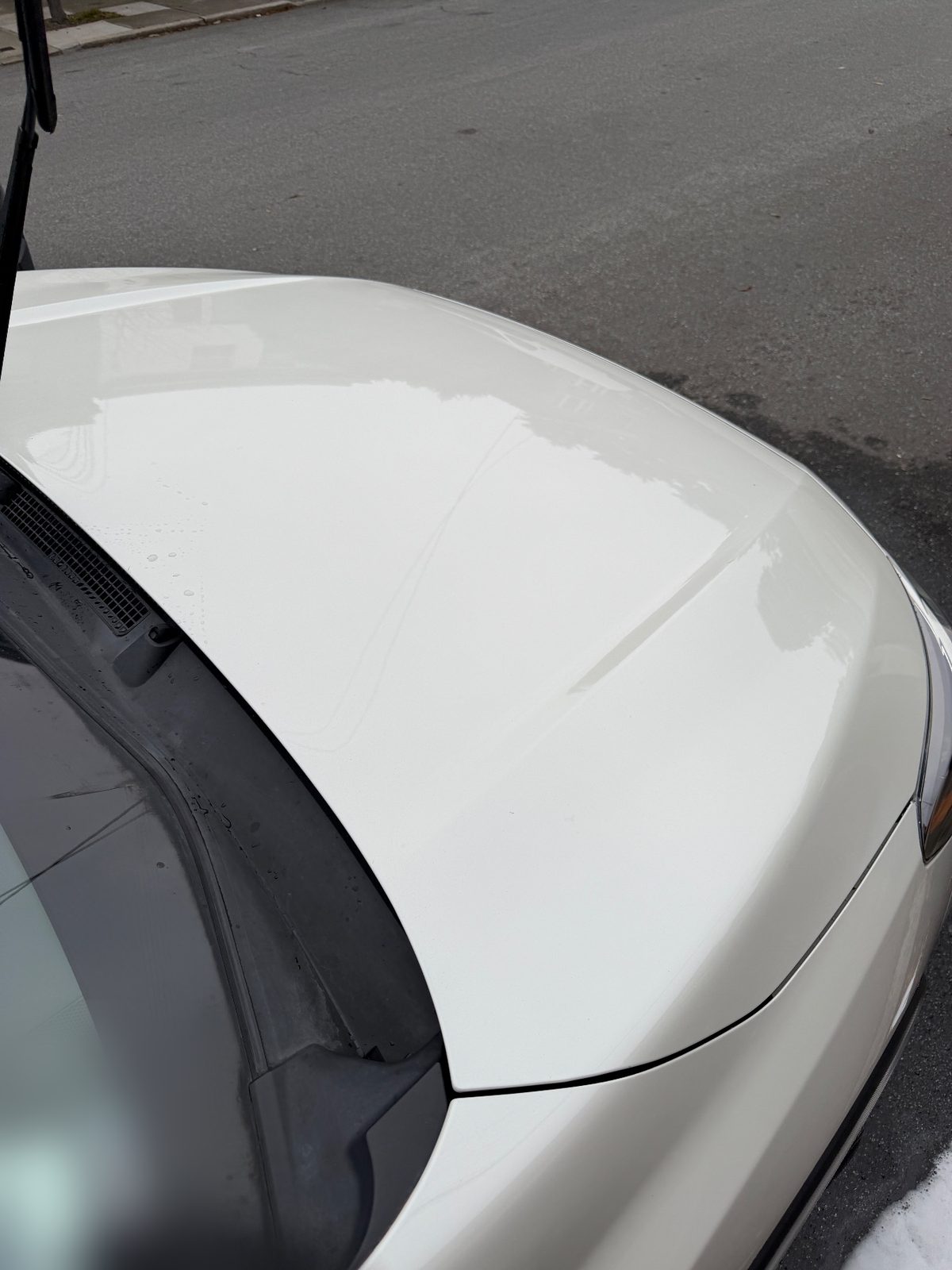Glossy hood of a white Subaru Crosstrek after washing, with some fine scratches visible
