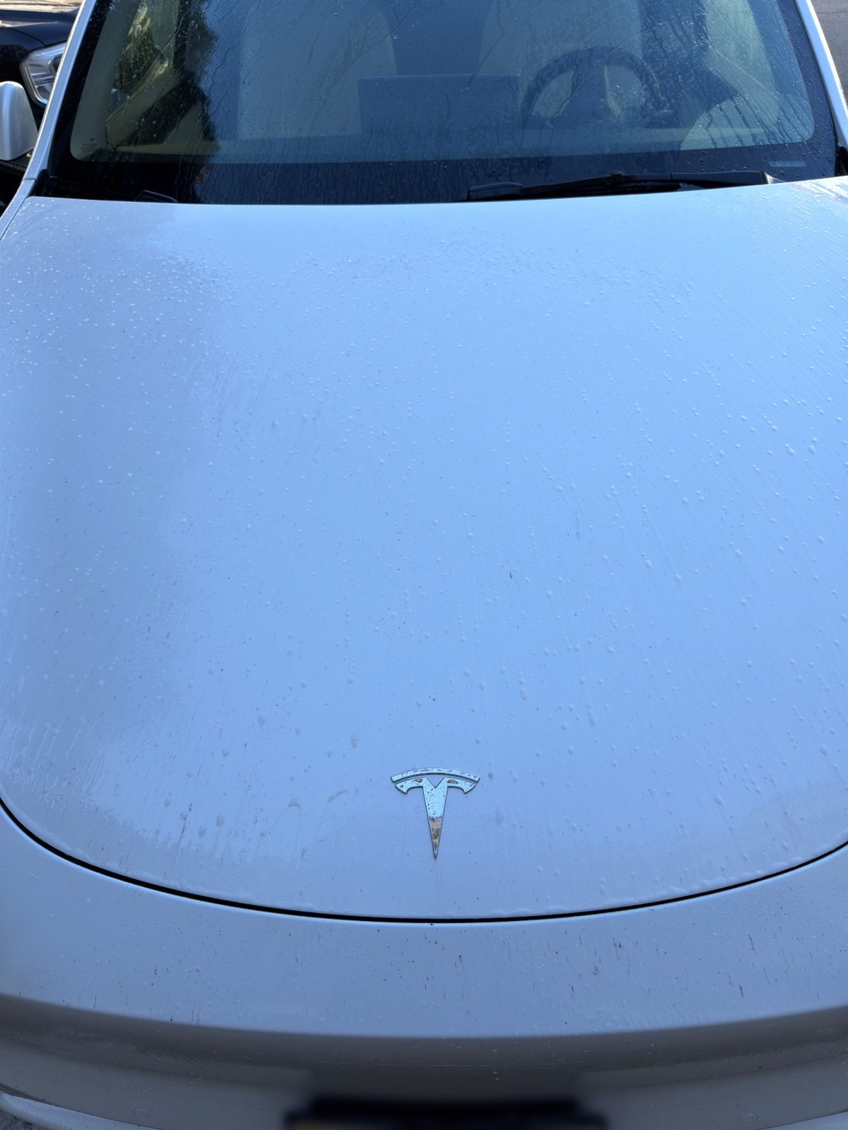 Wet bonnet of a white Tesla Model Y with the badge, mid-wash