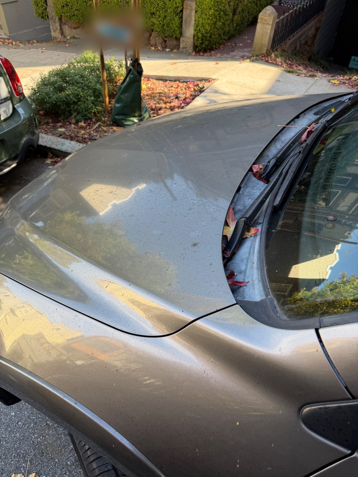 Dusty hood with leaves in the wiper cowl on a 2011 Toyota RAV4 before washing