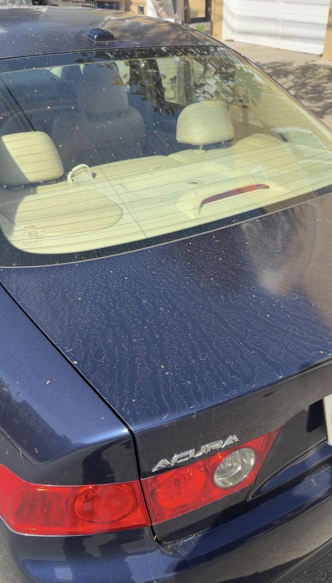 Close view of the dark blue trunk lid and taillight of an Acura sedan covered in dried water spots before detailing.