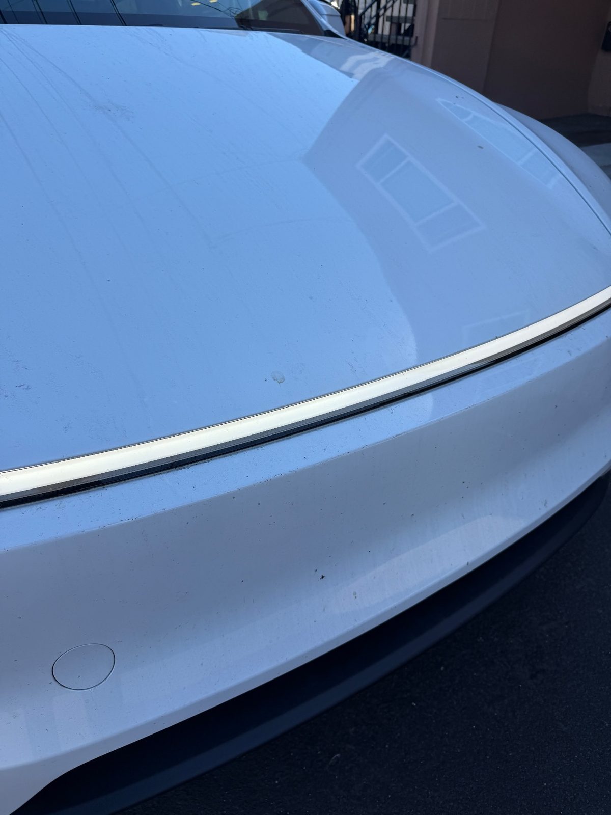 Front nose of a white Tesla Model Y before washing, dust and bug specks