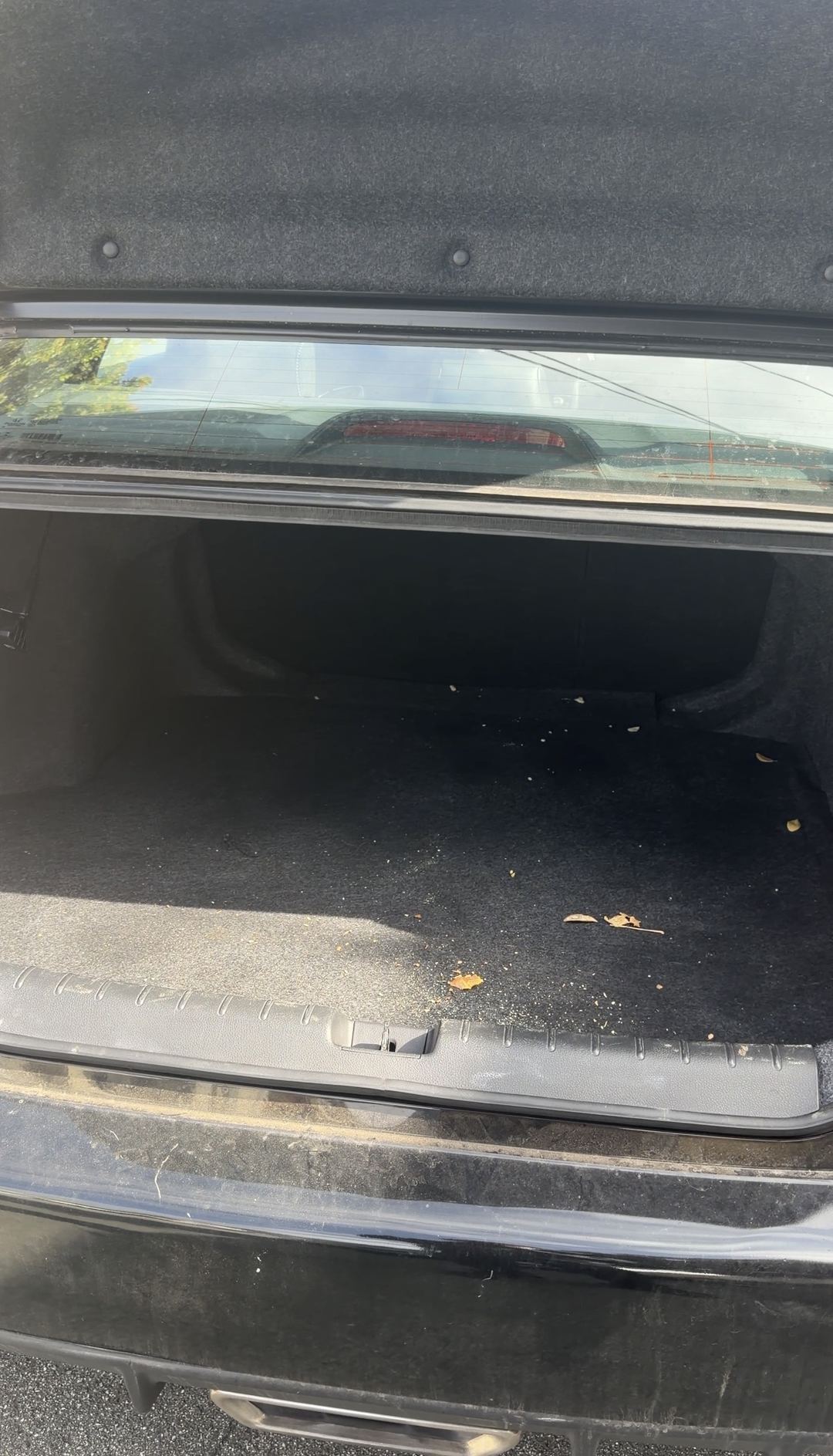 Leaves and debris in the trunk of a Honda Civic before the detail