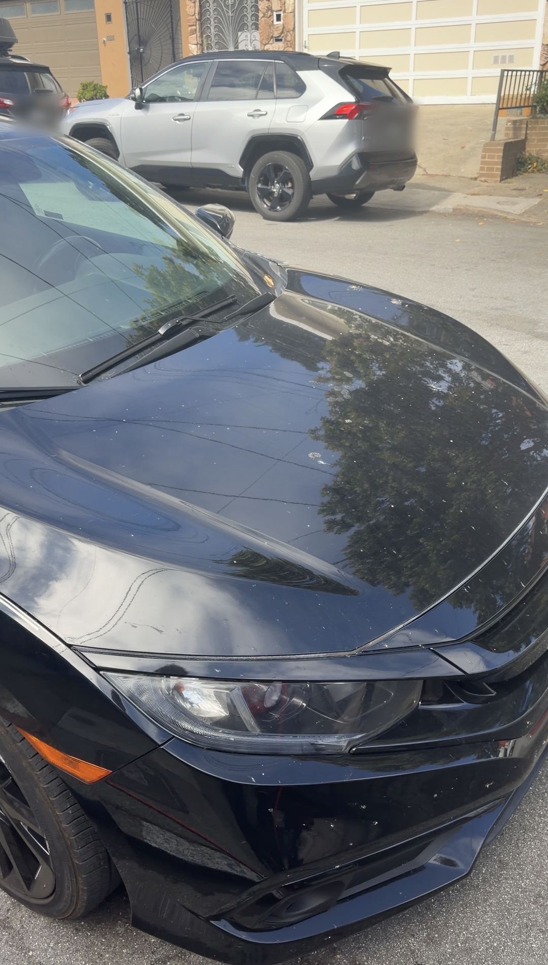 Dust and spots on the black hood of a Honda Civic before the wash